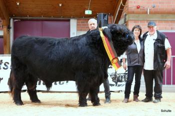 animal image